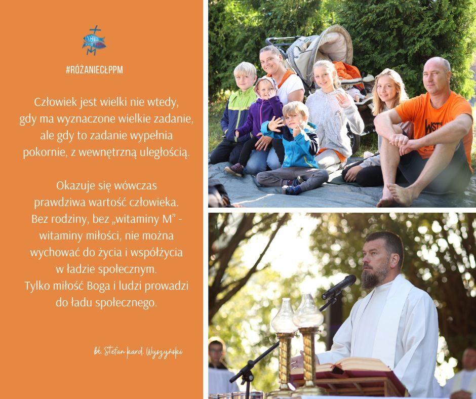 Na jesień polecamy witaminę „M”